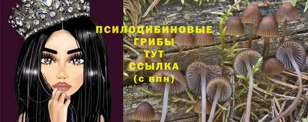 таблы Карпинск