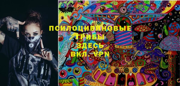 таблы Карпинск