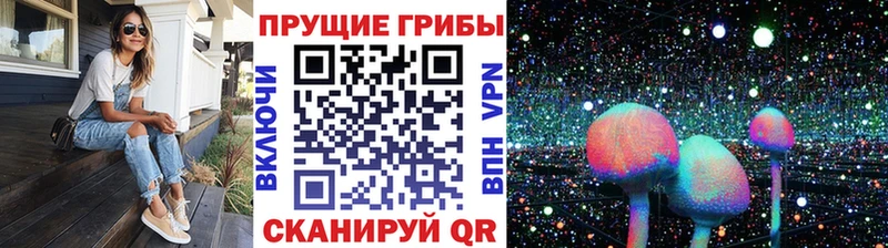 Галлюциногенные грибы GOLDEN TEACHER  Купить  Мглин 